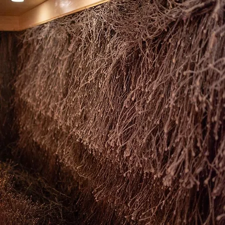 Aparthotel Aga Tenis By Radwanska 4*