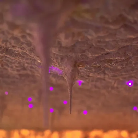 Aga Tenis By Radwanska 4*